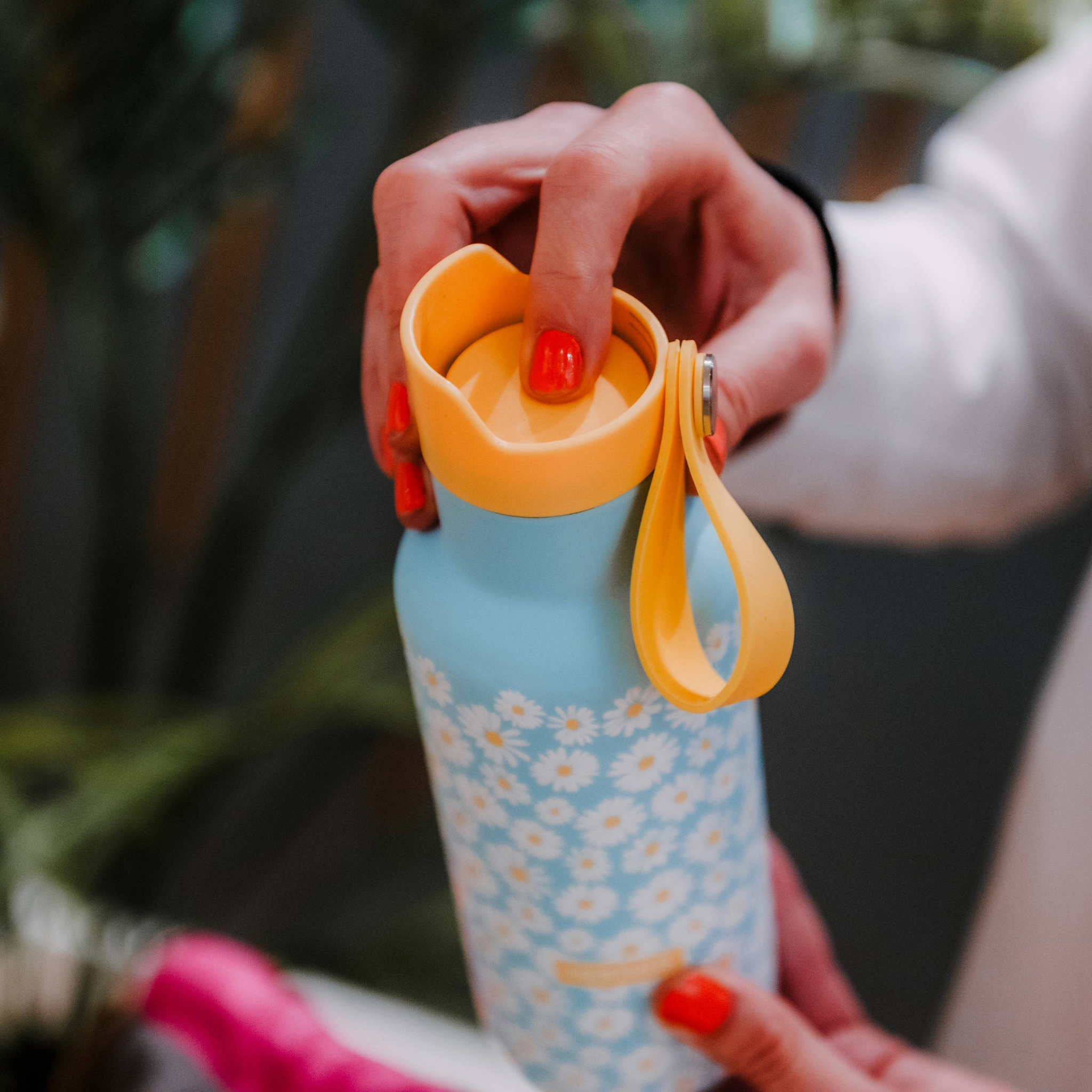 Accesorios para Botellas