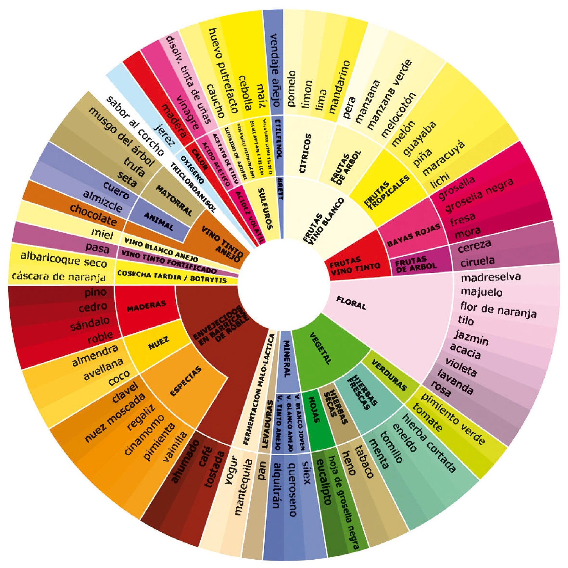 Set Aromas del Vino